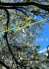 小龙活虾优惠活动